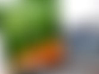 Ginásio que abrigou Hospital de Campanha em Ribeirão será reaberto com competição oficial