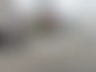 Mulher, de 27 anos, é presa em flagrante após sequestrar após sequestrar bebê no Brás em SP