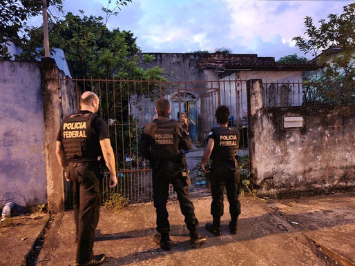 Operação Pavão Misterioso combate crimes de extração ilegal de madeira, uso de documentos falsos e o