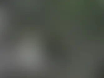 Vídeo mostra quando agente da Força Nacional é morto a tiros; VEJA