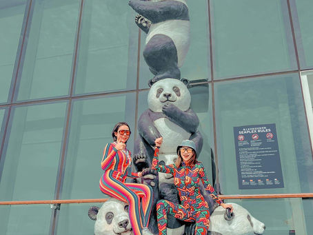 ฺReview by DarkCatter