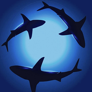 Screenshot 2024-02-29 at 8_edited_edited