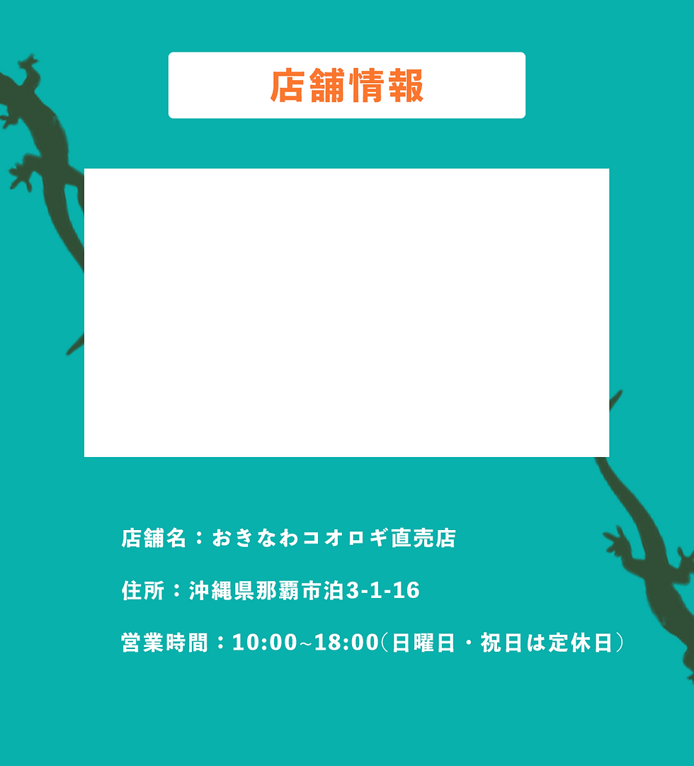 店舗情報