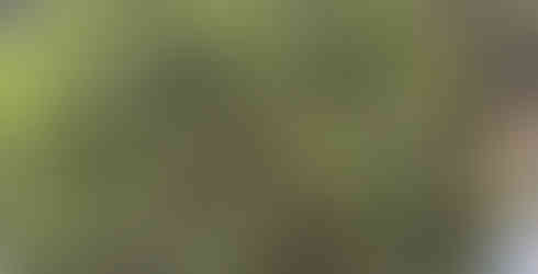 View of El Chiflón from one of the bridges.