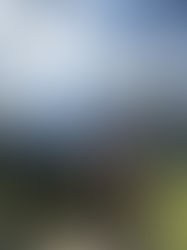 Marijn and me at the viewpoint overlooking Valle de Cocora