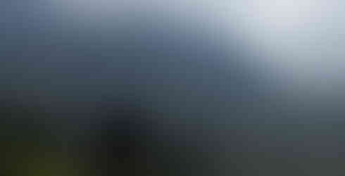 The road we walked through the village to get to the park. 