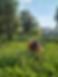 20220816_173522-01.jpeg