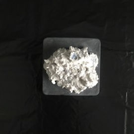 BIO CONFIDENTIAL