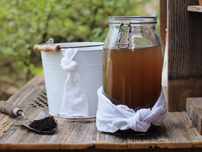 How to Make Compost Tea with Julia Watkins