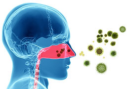 Allergy Testing
