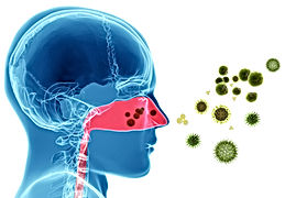 Allergy Testing