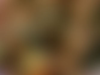 Quinoa Vegetable Soup