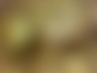 Gnocchi Chicken Veggie Soup