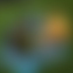 How Can I Prepare My Child for Preschool?