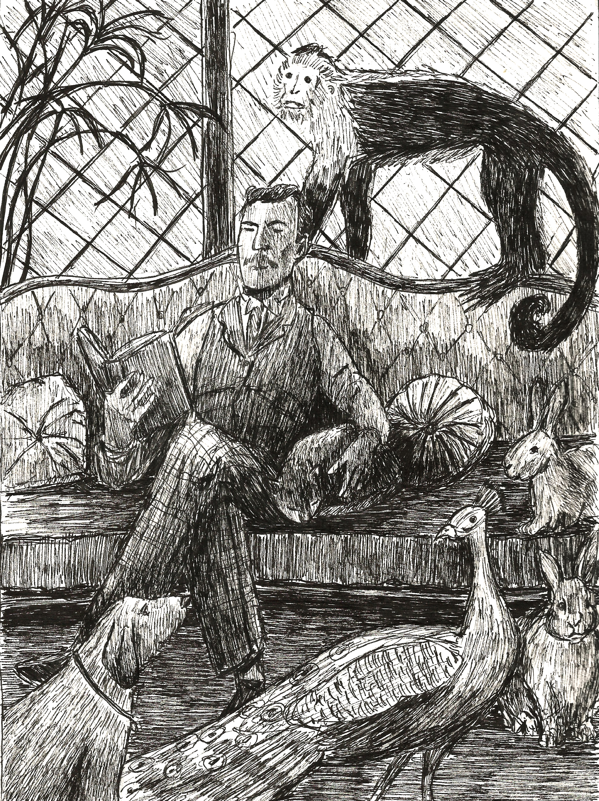 Amavo gli animali
