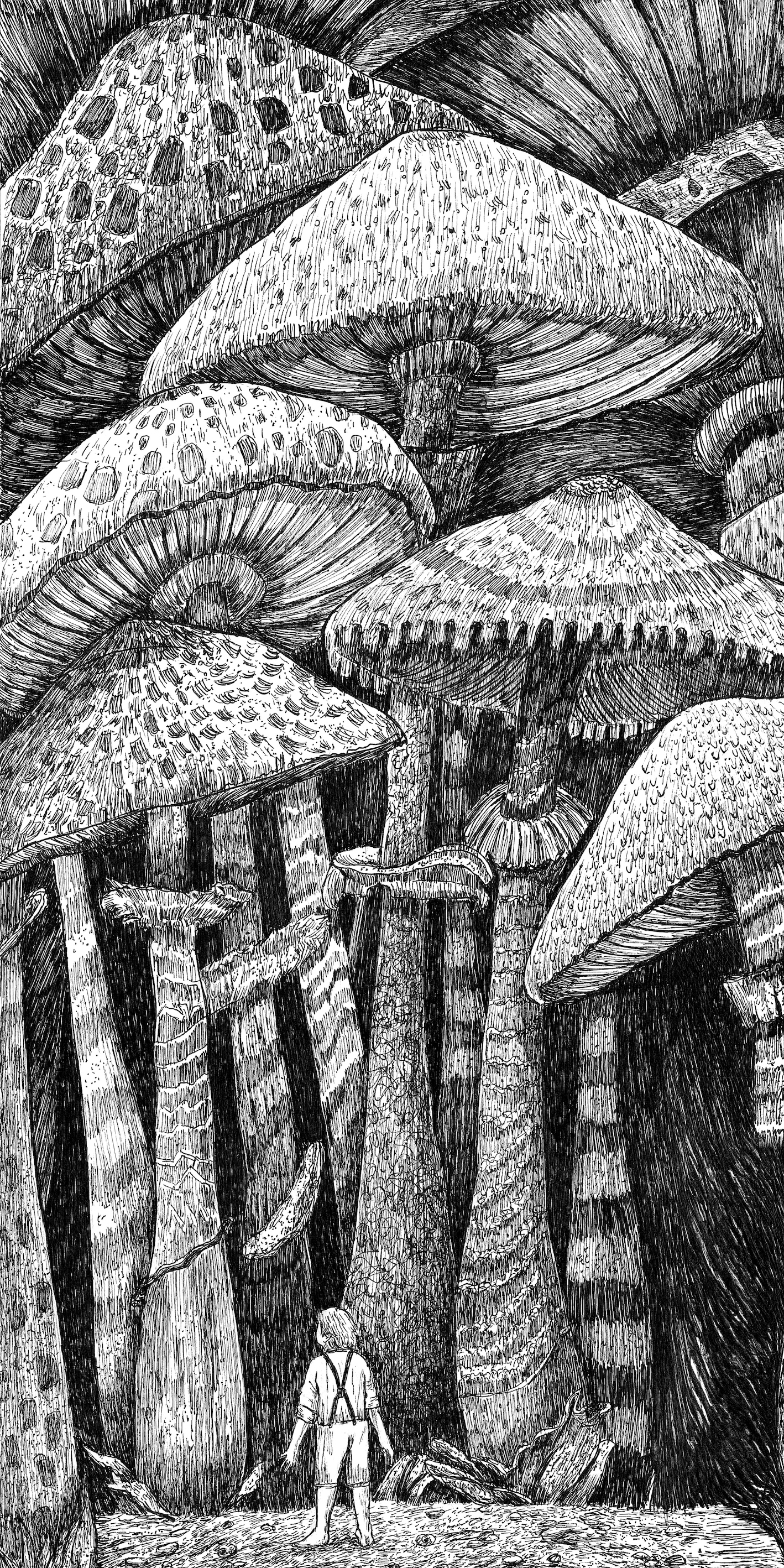 Funghi giganti