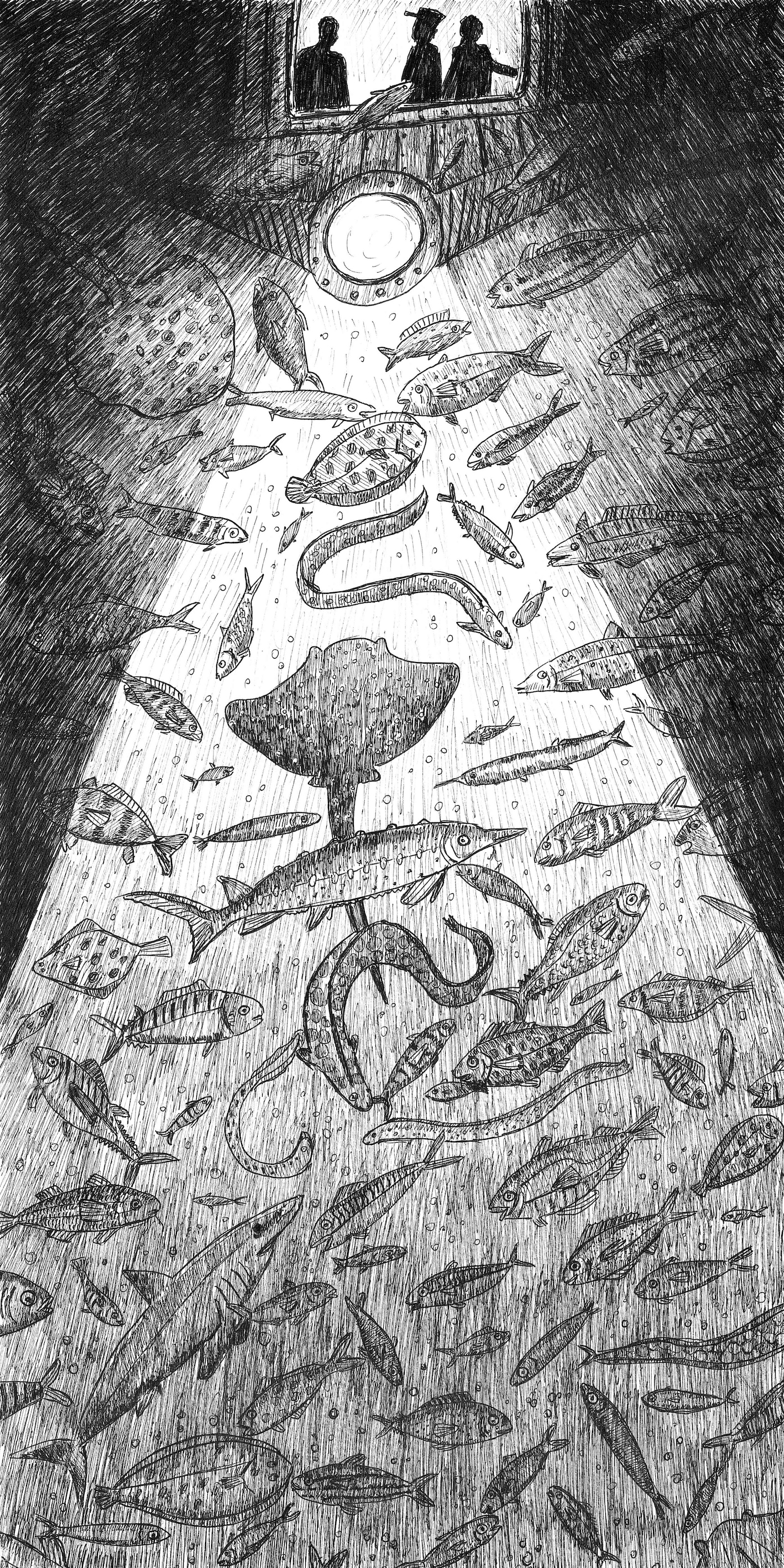 Nautilus