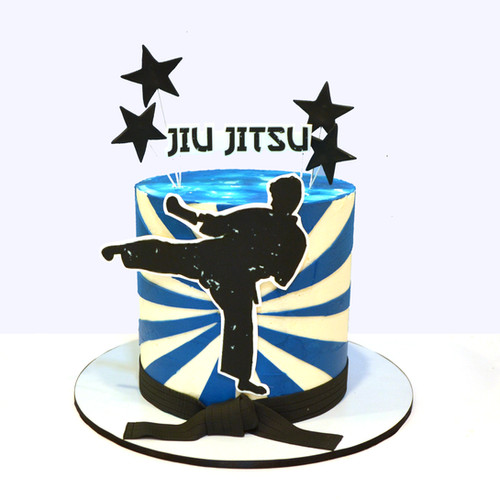 Martial Arts Signature Birthday Cake Lovely Cakes