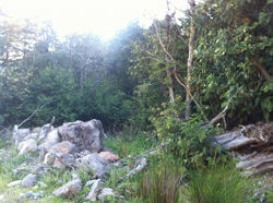 paisaje 5