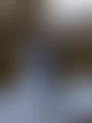 Couple enlacé dans une foret avec future maman avec une longue robe bohème