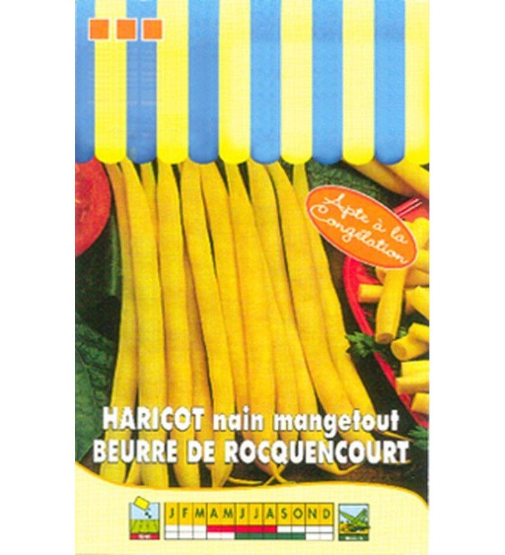 Haricot Nain Beurre De Rocquencourt - 110g (Gra)
