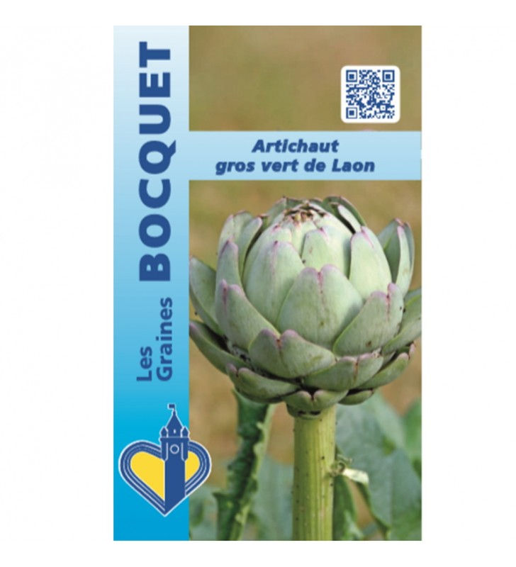 Artichaut Gros Vert De Laon 2g (Gra)