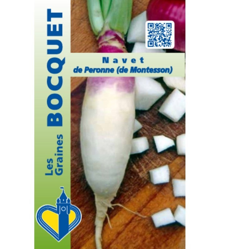 Navet De Péronne Ou De Montesson 2gr (Gra)