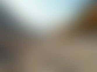 Fast Debris Removal Services: Fast and Reliable Same-Day Debris Removal