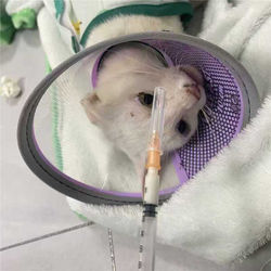 微信图片_20250723110524