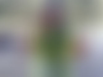 Gli Assi...si della RP