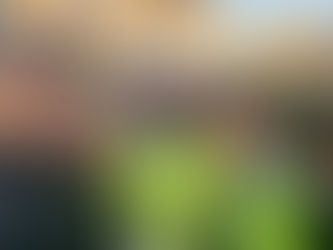 La Crém...a della RP