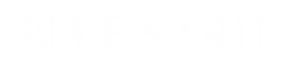 Logo Blue Spirit-09.png