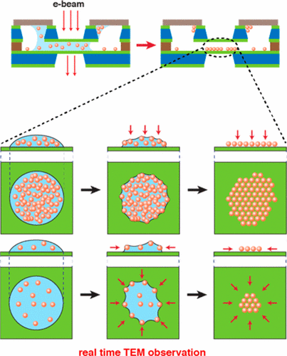 J. Phys. Chem. Lett. 2017, 8, 647–654.gi