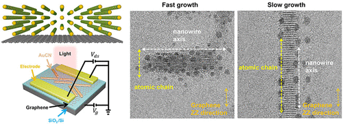 Nano Lett. 2018, 18, 6214–6221.gif