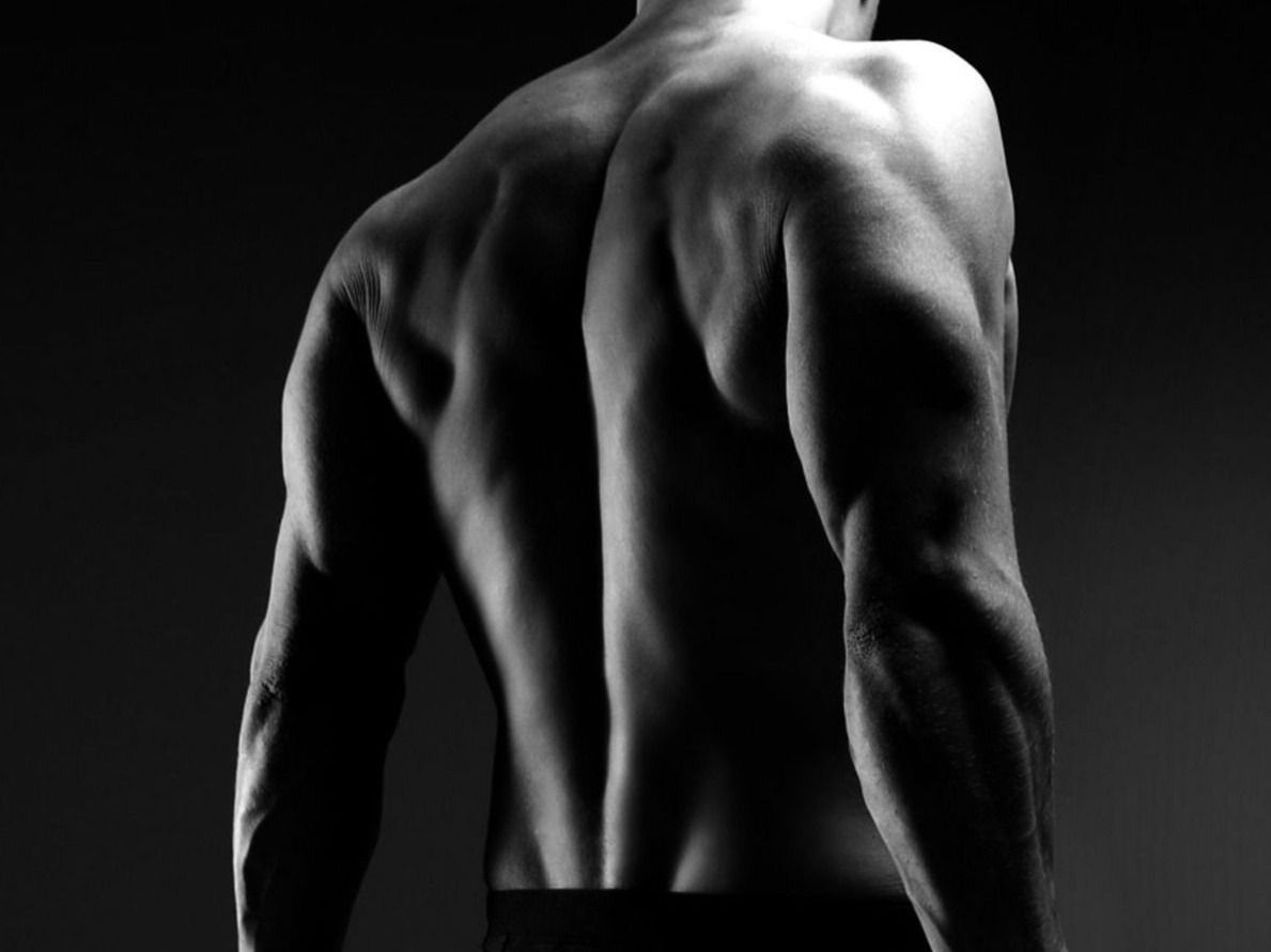 Book Body Composition Scan | Gold Coast Dexa, QLD