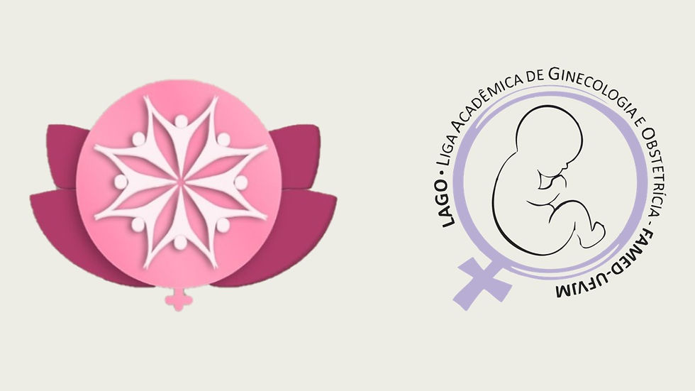 II Congresso de Saúde da Mulher do Vale do Jequitinhonha