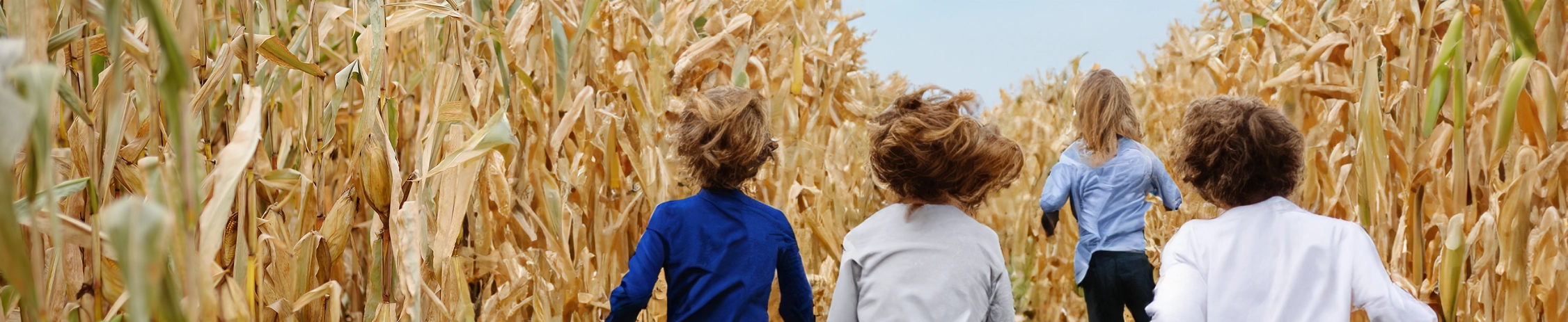 mea kids running.webp