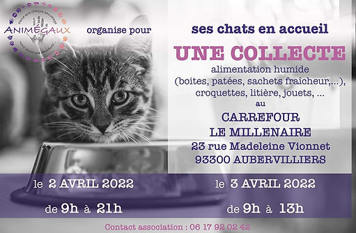 CollecteAvrilFlyer.jpeg