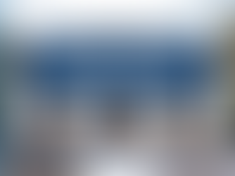 Casa pe structura metalica