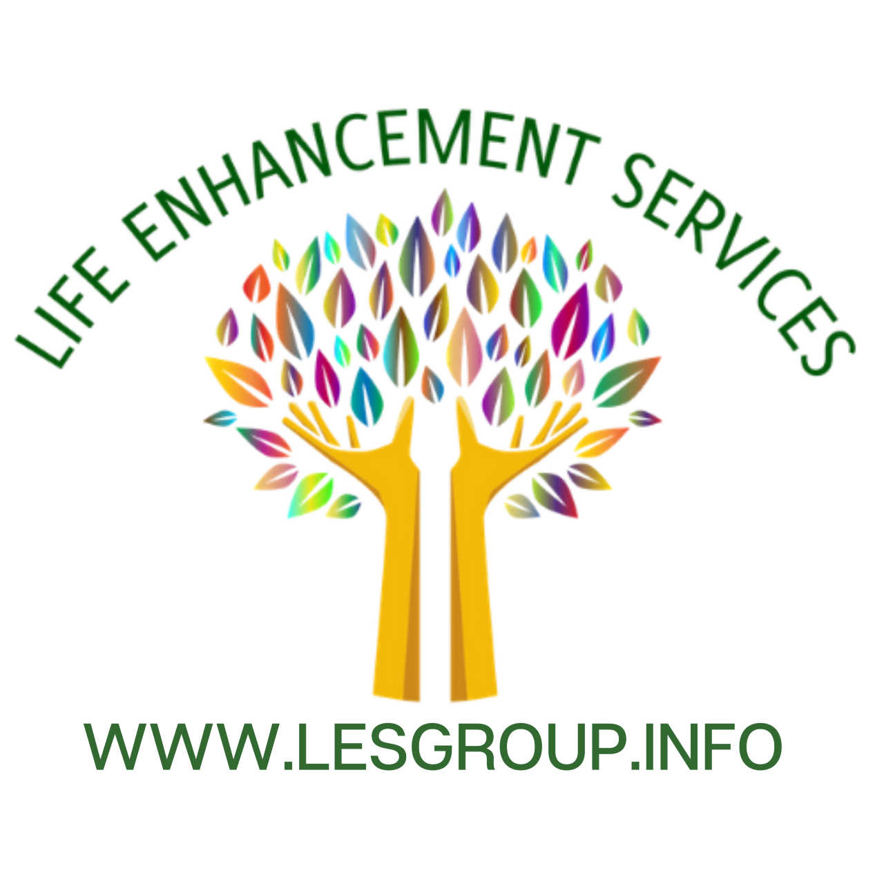 LES LOGO.png
