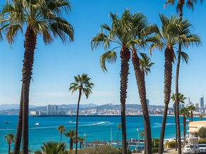 Tourism in San Diego Slowing Can Contribute to Homelessness: A Call to Action