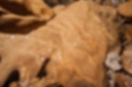 calcite - calcaire - spéléo - grotte