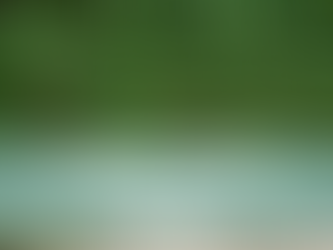 7 Ways to Improve Your English as a Landscape Architect