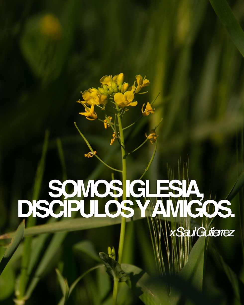 Somos Iglesia, Discípulos y Amigos..png