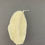 Miniatura: vela carambola