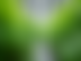 How Honest Harvest Co Revolutionizes Agritech Development