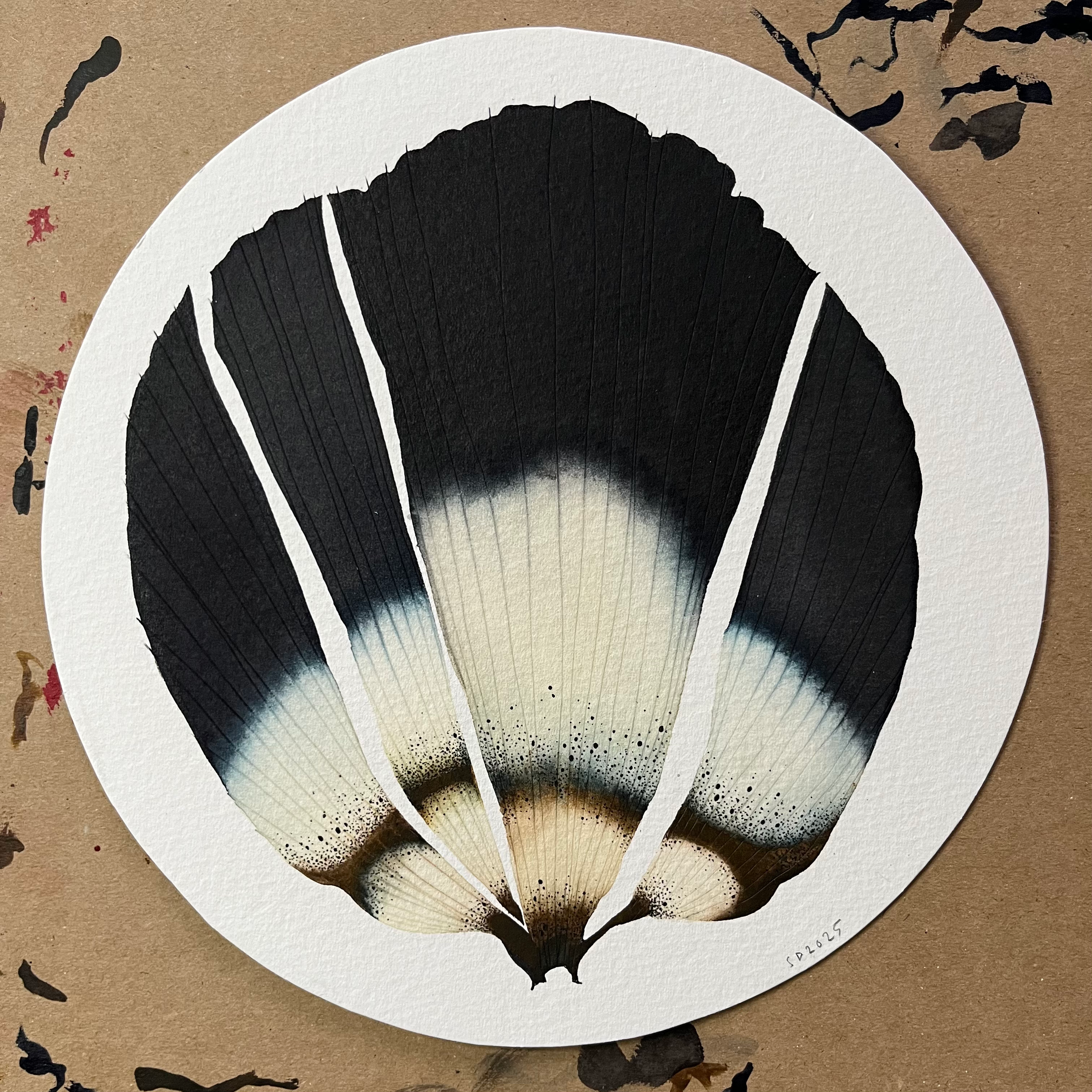 Split Black Anemone Petal 21 - Framed