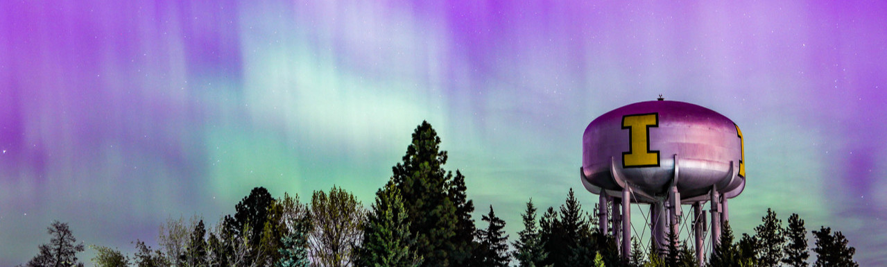 1365523263_Aurora-54 (1)_edited.jpg