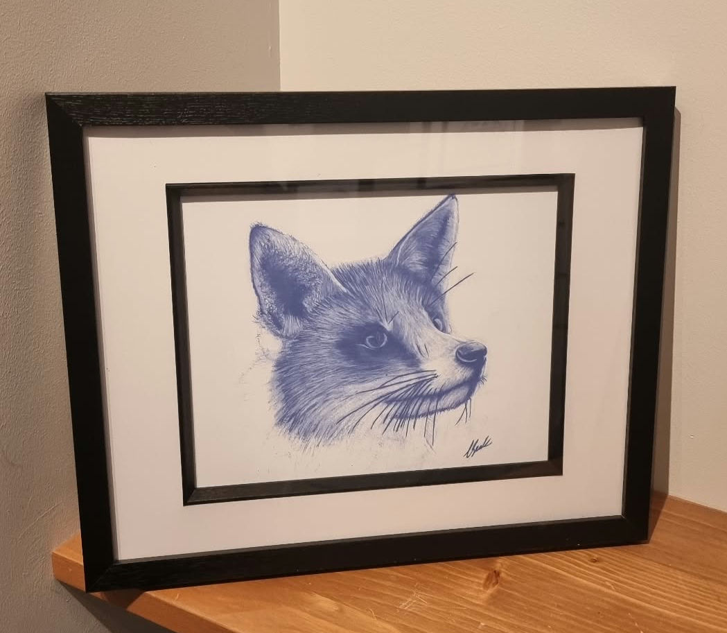 Fox Drawing print Limited Edition