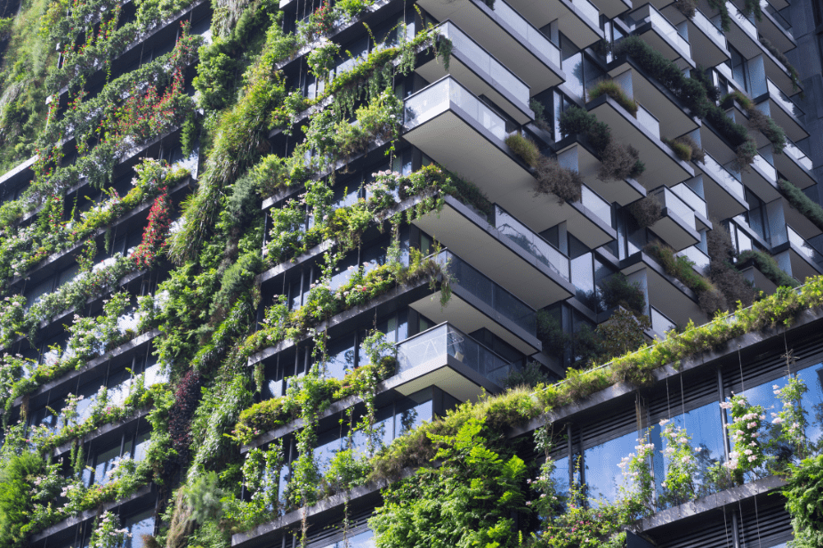 Eco-Friendly Abodes: Building Sustainable Homes for a Greener Tomorrow
